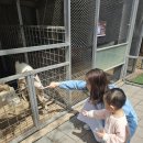 ㈜다모여행사 | 파주 아이랑 갈만한 곳 <퍼스트가든> 어린이날 가족 나들이 입장료 식당 주차까지!