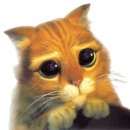 장화신은고양이 이미지