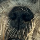 애니힐동물병원 이미지