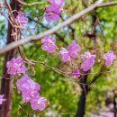경주시립 노인전문 요양병원 Daum카페