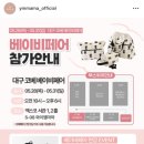 [와이엠마마(YMMAMA)] 기저귀 가방 | 더블빅윰백펄(L) | 미니파우치 | 펄카키 | 대구베이비페어 최저가
