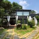 서촌초교 | [대구/팔공산] 트리팜: 우거진 소나무 숲속의 시원하고 상큼한 카페