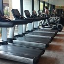 씨티오브드림 이미지