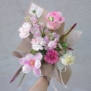 오블리제플레르