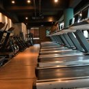 웰니스 지 이미지