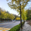 평화부동산중개사무소 이미지