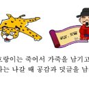 디엠지스테이 이미지