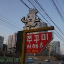 서해쭈꾸미 이미지