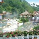 아리랑 커피호프 이미지