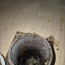 수원-0580 이미지