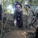 제주허브동산 이미지