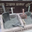 펫츠바이