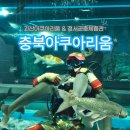 똑똑한 미디어 놀이터 | 충북아쿠아리움 아이들과 가볼만한 실내여행지