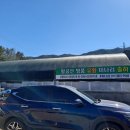 동구 팔공산미나리 농장/미대동 미나리/미나리 시식식당/미나리삼겹살/후계자주말농장 미나리 삼겹살 후기