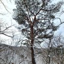 계산역 2번출구 횡단보도(남서쪽) | 백덕산(평창)