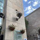 한음메디칼 | 메디컬 보이스 병원 후기, 음성치료 가격, 보험청구 : 연축성 발성장애 음성치료 6회차🍀계속 좋아지는 중!