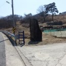 용심농장 Daum카페