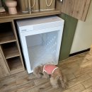 스테이 뭉구 이미지