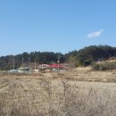 장고항3리 이미지