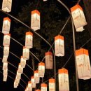 불갑사 관광안내소 | 330만 송이 붉은 유혹! 영광 불갑산 상사화 축제, 이렇게 즐기면 200% 성공!