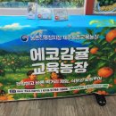 에코농장 이미지