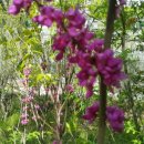 곤양축구장 이미지