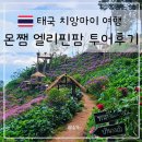 우정팜 | 치앙마이 투어 사이프레스레인 싸이프레스레인 엘리핀팜 몬쨈 택시 일일 투어 여행 후기