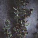 한피부과의원 이미지