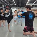 강일체육관 이미지