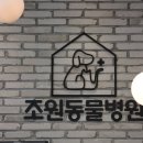 조원 동물병원 이미지