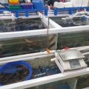 성해수산 이미지