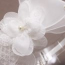 포포 스테이 이미지