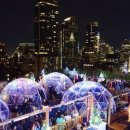 라이브클럽 킹 이미지