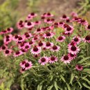 호숫가의 풍경 이미지