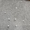 덕산면행정복지센터 이미지