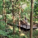 제암산자연휴양림 더늠길 이미지
