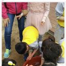 탄부초교 병설유치원 Daum카페