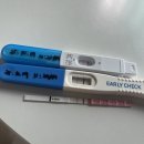 진하길 | 난임 병원 졸업! 시험관 성공 후기 (임테기 진하기, 피검사 결과, 임밍아웃 시기)