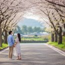 대륜동-2 이미지