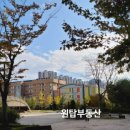 능수버들공원로 이미지