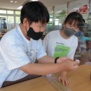 군내북초등학교 이미지