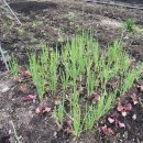 박성태농장 이미지