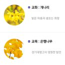 경기대명고등학교 이미지