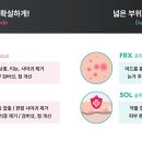 에스엔제이 이미지