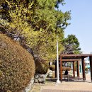 용이동 바다공원 이미지