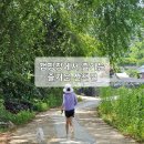 하다스 | 홍천 오토캠핑 캠프하다, 알려지지 않은 홍천강 접근 가족 캠핑장