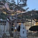 부천남중학교 이미지