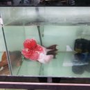 워터월드코리아 이미지