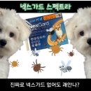 강남약국 이미지