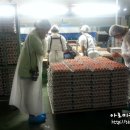 세한농장 이미지